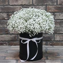 Цветочная композиция из Гипсофила в шляпной коробке #REPLACE_PRED# Троицкой Республики Ингушетия